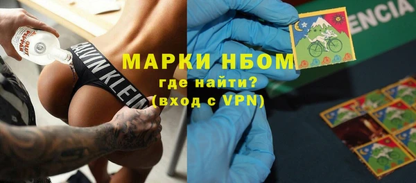 ГАЛЛЮЦИНОГЕННЫЕ ГРИБЫ Кукмор