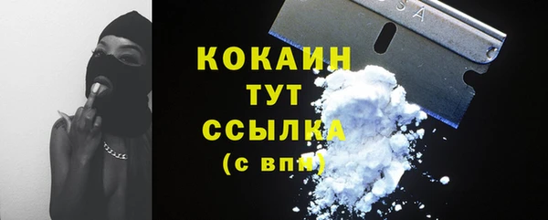 ГАЛЛЮЦИНОГЕННЫЕ ГРИБЫ Кукмор