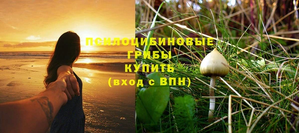 дживик Куйбышев