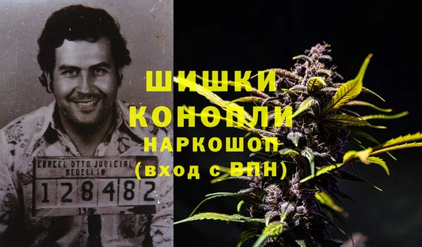 ГАЛЛЮЦИНОГЕННЫЕ ГРИБЫ Кукмор