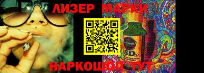 гидропоника Дубна