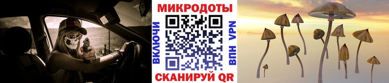 Галлюциногенные грибы мицелий сколько стоит blacksprut зеркало Людиново