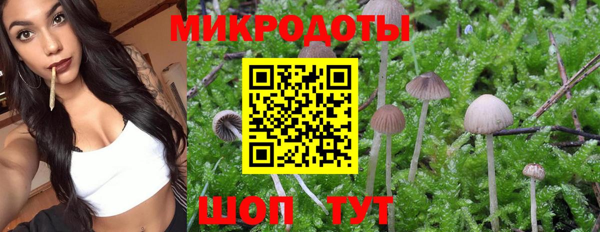 Галлюциногенные грибы ЛСД  Вход с VPN  Людиново 